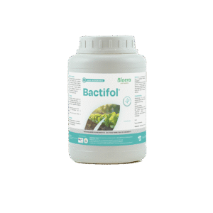 BACTIFOL / БАКТІФОЛ