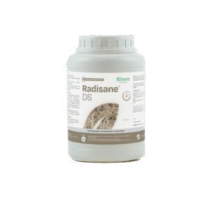 RADISANE DS / РАДІСАН ДС