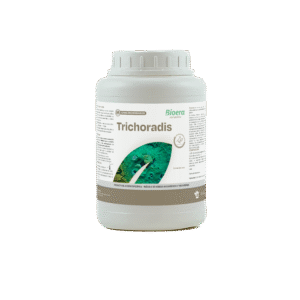 TRICHORADIS / ТРИХОРАДІС